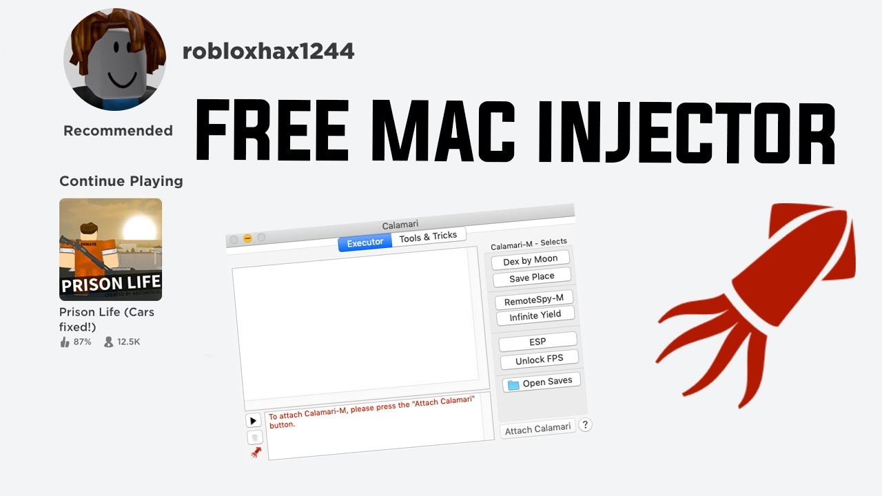 roblox script injector mac